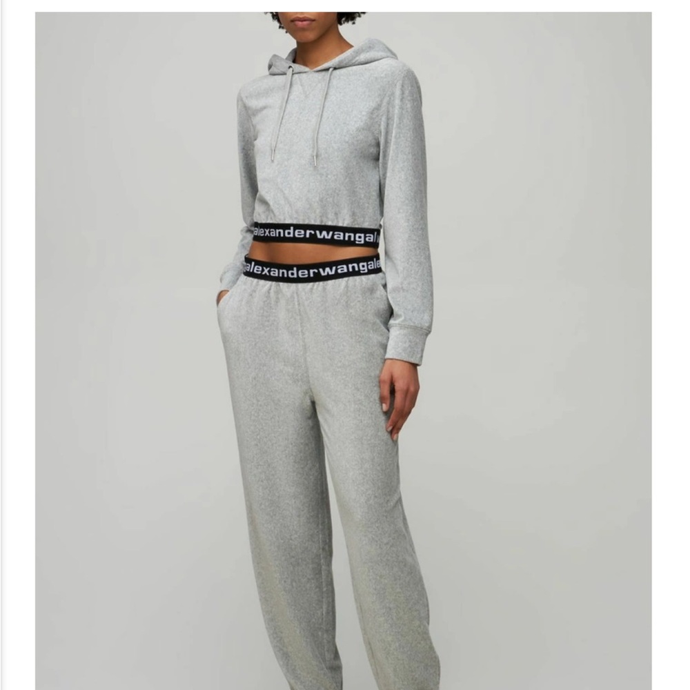 Alexander Wang Corduroy Cropped Hoodie - Picture 4 of 8